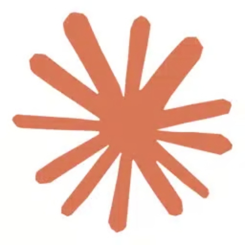 A simple rust-orange starburst or sun-like graphic composed of overlapping lines on a white background.