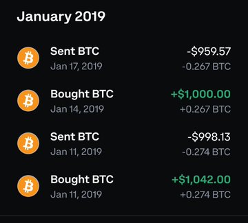 A Bitcoin transaction history showing January 2019 BTC purchases and sales, including dates like Jan 11, Jan 14, and Jan 17, 2019.