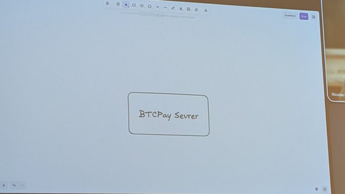 xtopay server logo on a white background, accompanied by the text "btcpay server" and a purple "i" icon.