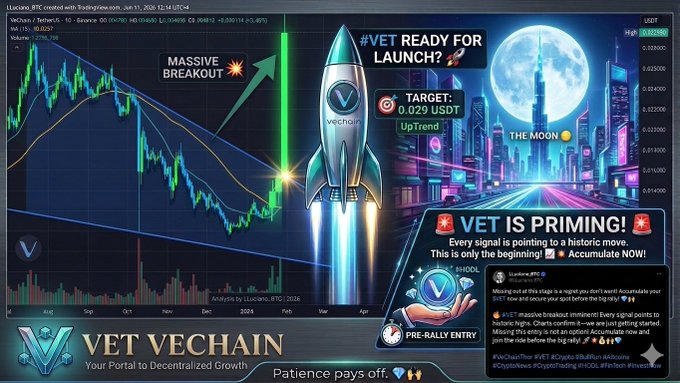 A bullish trading chart for VeChain (VET/USDT) shows a "MASSIVE BREAKOUT" signal with a "VET READY FOR LAUNCH 🚀" rocket graphic and a target of "0.029 USDT," aligning with the post's claim that VET is primed for a historic move.