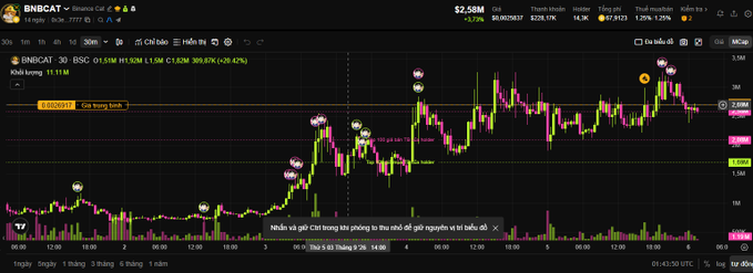 A financial trading chart on TradingView displays the 'BNBCAT - Binance Cat' ticker, showing candlestick price action with the current price at $2.58M.
