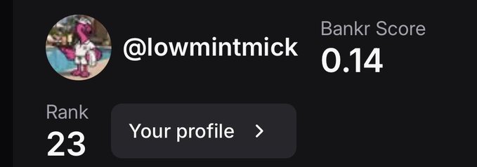 Profile card showing user @lowmintmick with a Bankr Score of 0.14, ranked 23rd, featuring a pink cartoon avatar.