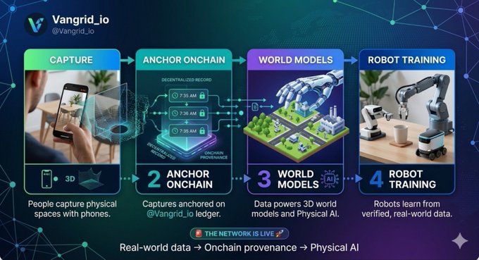 An infographic from Vangrid.io (@Vangrid_io) illustrates a four-step process: Capture (people capture physical spaces with phones), Anchor Onchain (decentralized ledger records), World Models (3D world models for Physical AI), and Robot Training (robots learn from verified data), with the tagline 'Real-world data → Onchain provenance → Physical AI' and 'THE NETWORK IS LIVE'.