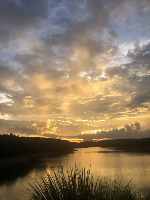 The image features a beautiful sunset over a lake, with the sky filled with clouds and the sun setting behind them. The scene includes a body of water, possibly a lake or river, surrounded by trees and grassy areas. In the foreground, there is a plant that adds more depth to the landscape. The post in question seems to be discussing the development of a decentralized trading platform on testnet, with an emphasis on @NomismaNetwork and @quipnetwork.