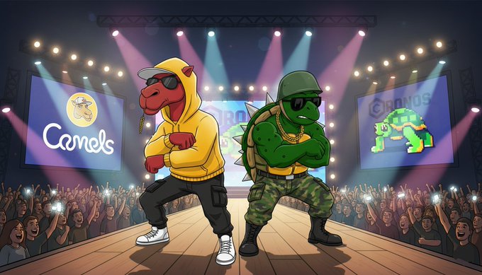 A cartoon illustration of two anthropomorphic animal characters performing on a stage - a camel in a yellow hoodie and sunglasses labeled 'Camels', and a turtle with gold chains and sunglasses, with a cheering crowd and stage lights in the background.