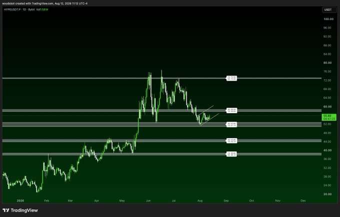A TradingView candlestick chart for HYPERLIQUIT-P (HYPE/USDT) on the daily timeframe, showing price action from late 2025 through 2026, with key horizontal support/resistance levels marked around $40, $45.70, $49.16, $57.72, $60, and $72.83, while the current price sits near $54.95. The chart visually supports the post by highlighting the $57.72 level as the recent short entry point on a pullback from the July highs.