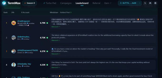 TermMax Season 0 Leaderboard screenshot showing top X accounts ranked by Mindshare, including @iadirtrguzun (6.79%), @destinydou (6.73%), and @MdShameem376436 (6.37%).