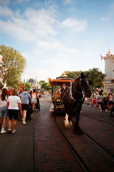 A horse-drawn trolley ride on a brick street at what appears to be Disneyland, with pedestrians walking alongside and Cinderella's castle in the distant background.