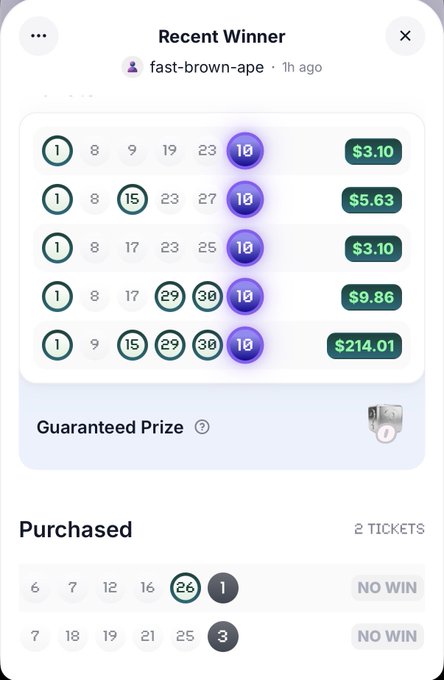 A screenshot of a lottery or bingo app showing recent winning numbers with the user 'fast-brown-ape' winning prizes ranging from $3.10 to $214.01, including a 'Guaranteed Prize' section and two purchased tickets marked 'NO WIN'.