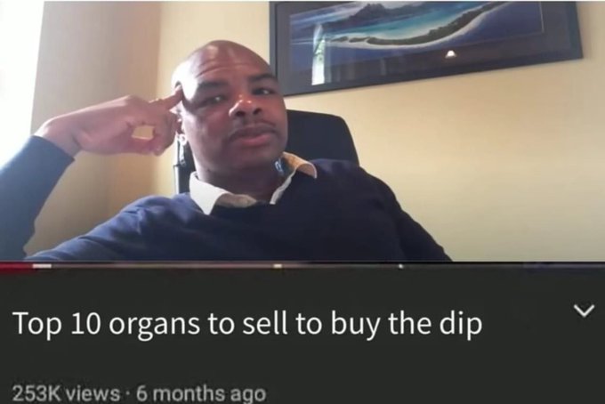 A man in a sweater touches his temple in a YouTube video thumbnail titled 'Top 10 organs to sell to buy the dip' (253K views, 6 months ago).