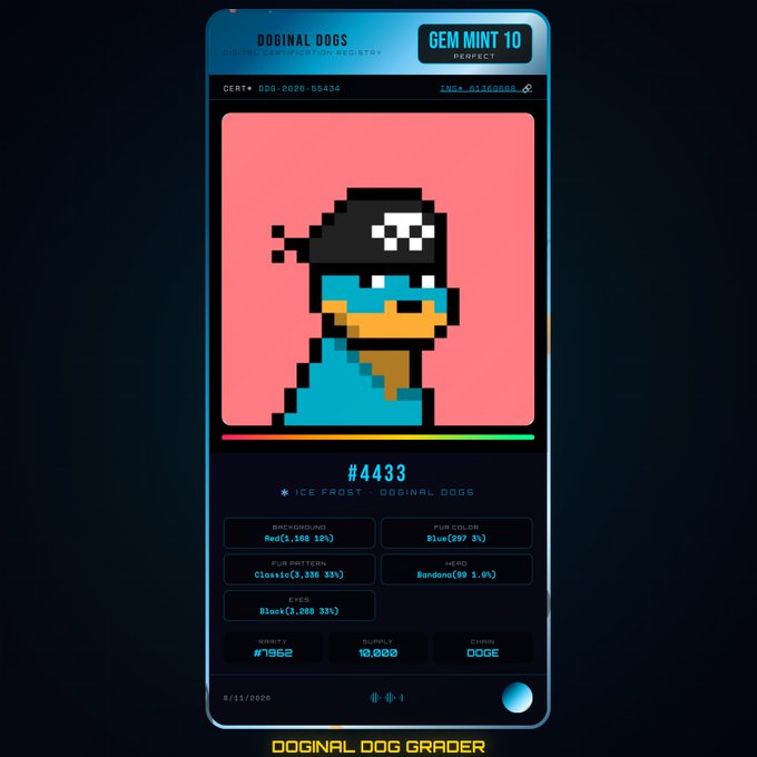 A digital collectible card titled 'Doginal Dogs' displaying a pixelated image of a dog wearing a pirate hat and eye patch, with rarity #7962 and chain DOGE.