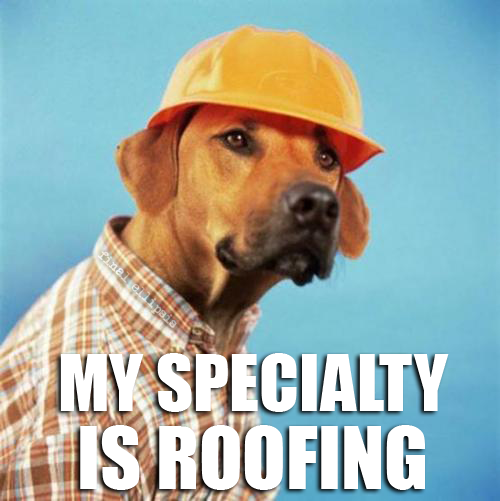 A meme featuring a brown dog wearing a yellow hard hat and a plaid shirt, with the caption 'MY SPECIALTY IS ROOFING' displayed at the bottom.
