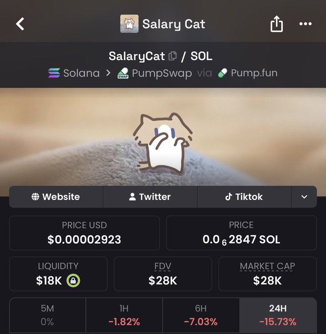 A screenshot from pump.fun showing the 'Salary Cat' ($S) memecoin on Solana/PumpSwap, displaying a price of $0.00002923, market cap of $28K, and 24H change of -15.73%.