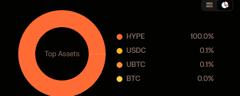 The image is a "Top Assets" pie chart showing a portfolio allocation of 100.0% HYPE, 0.1% USDC, 0.1% UBTC, and 0.0% BTC. This directly relates to the post, where the user is considering borrowing against their dominant HYPE holdings to add 1-2 more bitcoins to their nearly empty BTC position.
