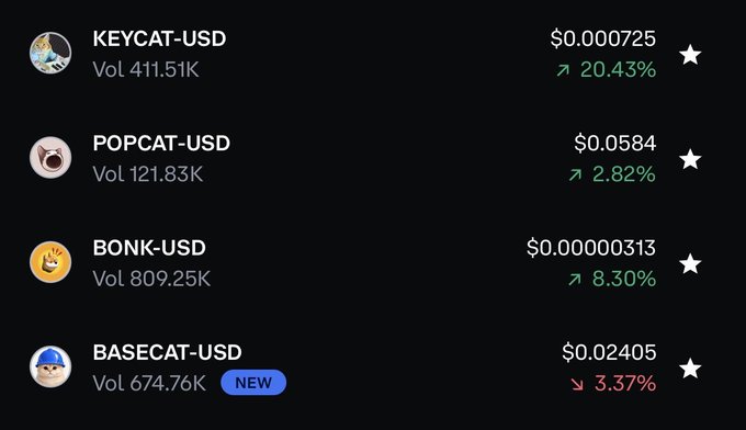 A crypto price tracking screen displaying KEYCAT-USD at $0.000725 (+20.43%), POPCAT-USD at $0.0584 (+2.82%), BONK-USD at $0.00000313 (+8.30%), and BASECAT-USD at $0.02405 (-3.37%) marked NEW.