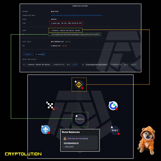 A cryptocurrency transaction explorer interface from Cryptolution showing a Bitcoin transaction (MM7011) from 2 years ago, detailing inputs from Binance Ordinal Net wallet and outputs to bc1pzsy... including rune balance DOG•GO•TO•THE•MOON with 103,108,4656.81.