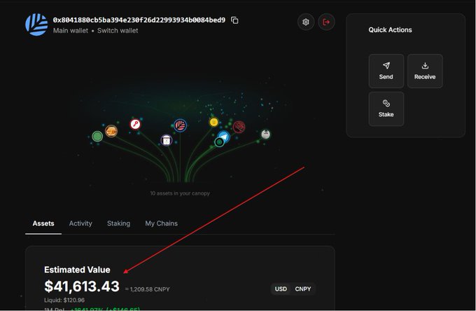 A cryptocurrency wallet dashboard displays an estimated portfolio value of $41,613.43 (1,209.58 CNPY) with 10 assets shown in the canopy visual, highlighting the wallet's total holdings as evidence of Canopy's multi-chain ecosystem allowing users to manage diverse assets across their purpose-built L1s.