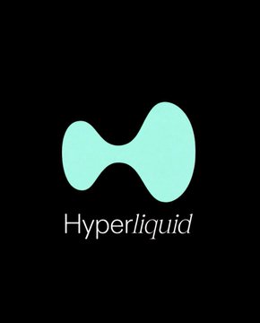 The image features a logo for a company named "HYPERLiquid" against a black background. The logo consists of two blue circles connected by a line, creating an abstract shape resembling a wave or a cloud. The text "HYPERLiquid" is written in white below the logo.