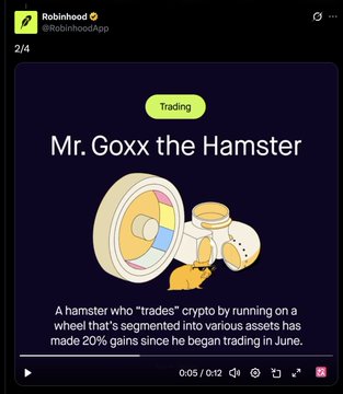 A Robinhood post (2/4) titled "Mr. Goxx the Hamster" under the Trading section features a cartoon hamster illustration alongside text describing it as a hamster that "trades" crypto by running on a segmented wheel to select various assets, having achieved 20% gains since June, highlighting the story of the famous crypto-trading hamster Mr. Goxx.
