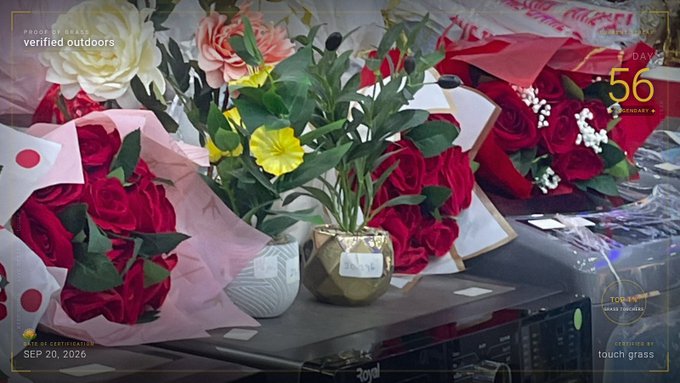 A photograph of various bouquets of red roses and other flowers in vases on a table, with HUD-style overlays reading 'PROPERTY OF TOKYO' and 'verified outdoors.'