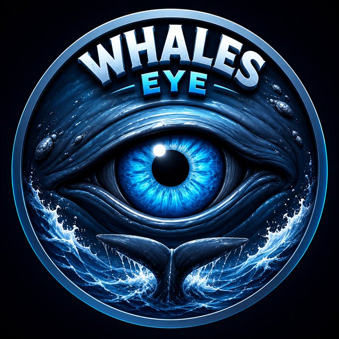 A circular digital logo featuring a large blue eye with a whale tail and ocean waves, with the text "WHALES EYE" displayed at the top.