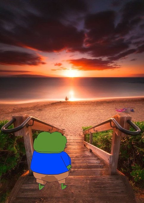 A cartoon frog character in a blue jacket stands on wooden stairs overlooking a vibrant sunset beach with dramatic clouds.