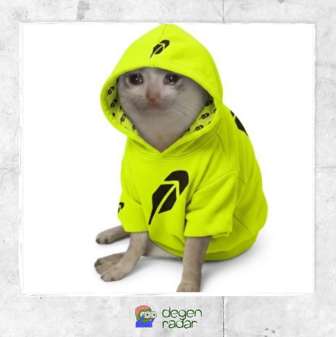 A small white cat wearing a neon yellow hoodie featuring the Robinhood logo, with "degen radar" branded at the bottom of the image—fittingly matching the post's $HOOD meme token and "Catwif" narrative promoting its $119K market cap.