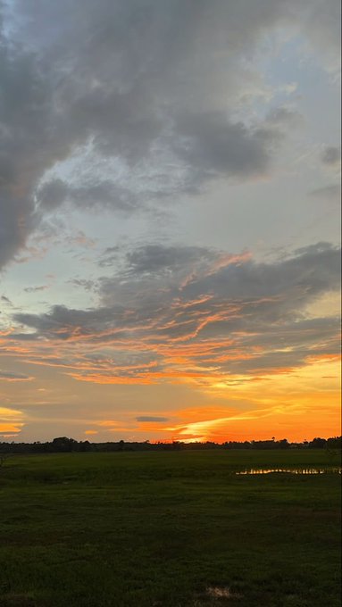 A vibrant sunset paints the sky with fiery orange and soft gray clouds over a dark, grassy field, perfectly capturing the peaceful end to a long week. The serene countryside view sets a tranquil mood to wish everyone a happy weekend ahead.