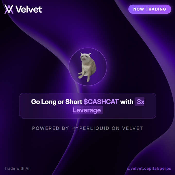 A purple-themed promotional graphic for Velvet trading platform featuring a cat mascot, advertising $CASHCAT perpetual trading with 3x leverage on Hyperliquid.