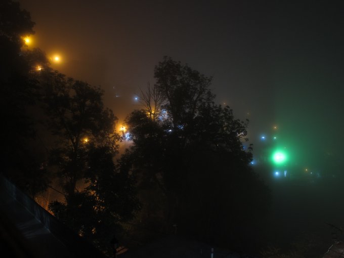 A foggy nighttime scene with silhouettes of trees in the foreground and colorful illuminated lights (orange, white, and green) glowing through the mist in the background.