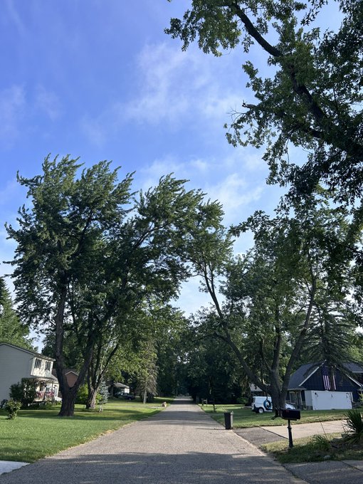 A peaceful suburban street lined with large green trees under a blue sky, suggesting a calm morning walk. The image complements the post about enjoying a smoke-free 10-ENER walk in Michigan after days of hazy skies from Canadian wildfire smoke.