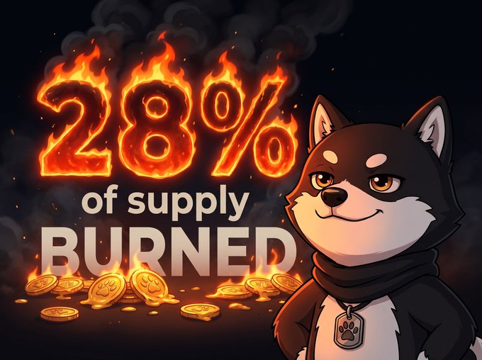 A Shiba Inu-themed graphic with flaming text reading '28% of supply BURNED' alongside a cartoon dog character wearing a black hoodie.