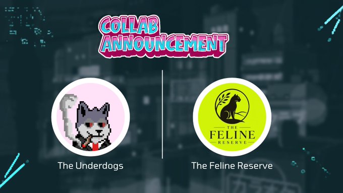 A 'COLLAB ANNOUNCEMENT' graphic features two circular logos: one for 'The Underdogs' showing a pixelated wolf, and another for 'The Feline Reserve' with a cat silhouette on a green background.