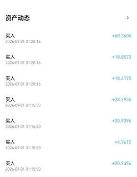 A financial transaction history displayed in Chinese ('资产动态') shows a series of '买入' (buy) transactions with positive values ranging from ¥4.7615 to ¥28.7955 on 2024-09-01.