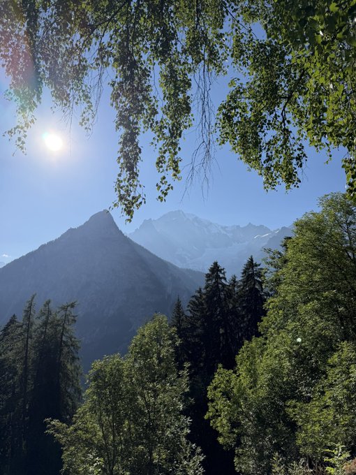 Sunlight filters through lush green foliage, framing a breathtaking view of misty, forested mountain peaks against a clear blue sky. The serene natural landscape perfectly captures the essence of "touching grass" in a refreshingly green place.