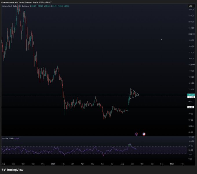A TradingView daily candlestick chart of Solana (SOL/USD) showing a pennant pattern consolidation around the $100 level, with an RSI (14) indicator at 55.69 displayed below, supporting the post's view that the daily pennant is resolving with bullish momentum that could lift SOL and related tokens like Pengu and Dog.