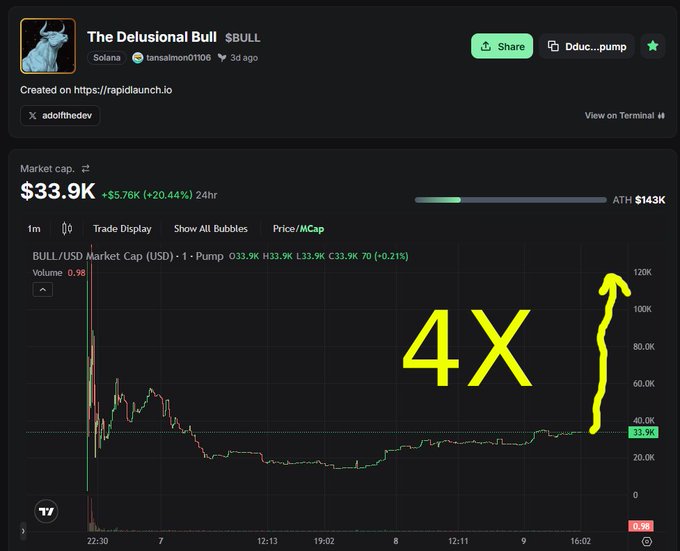 A trading chart for 'The Delusional Bull' ($BULL) token on Solana showing a market cap of $33.9K (+20.44% 24hr) with a yellow '4X' annotation and arrow indicating price surge potential.