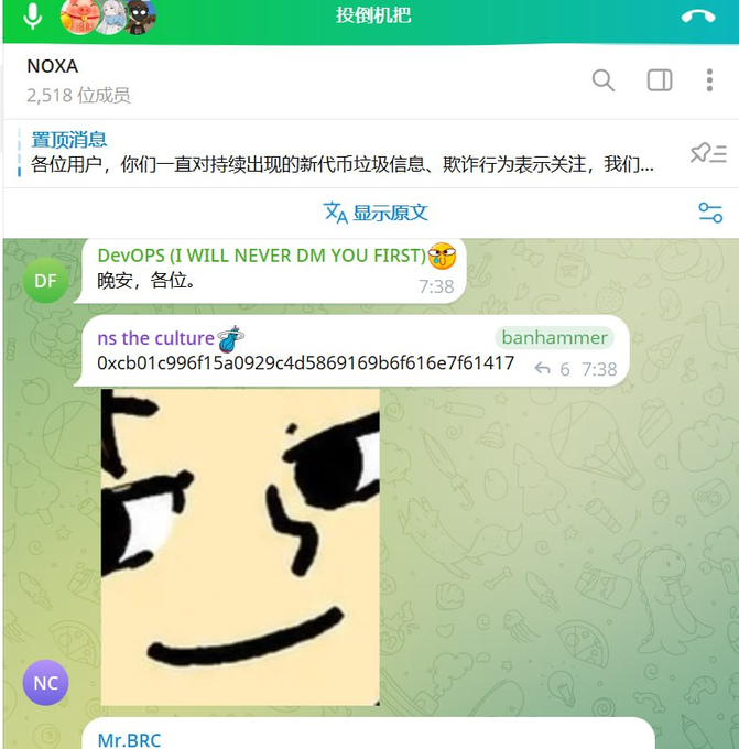 A Telegram group chat named 'NOXA' showing a pinned message about scam tokens, followed by user messages including a 'banhammer' bot reply with a transaction hash and a meme image.