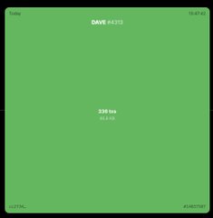 A minimalist retro-style digital screen displaying the text 'GAVE #4313', '336 tvs', and a date '27/03/24' in white text on a solid green background.