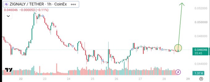 A 1-hour CoinEx candlestick chart for the ZIGNALY/USDT (ZIG) trading pair shows a recent price of 0.046046 USDT, down 0.11% on the day, with an upward green arrow and highlighted circle emphasizing a bullish breakout from a sideways consolidation range near 0.046. The chart visually supports the post's claim of ZIG's relative strength, highlighting a notable price surge on the left side of the chart that remains well above prior lows.