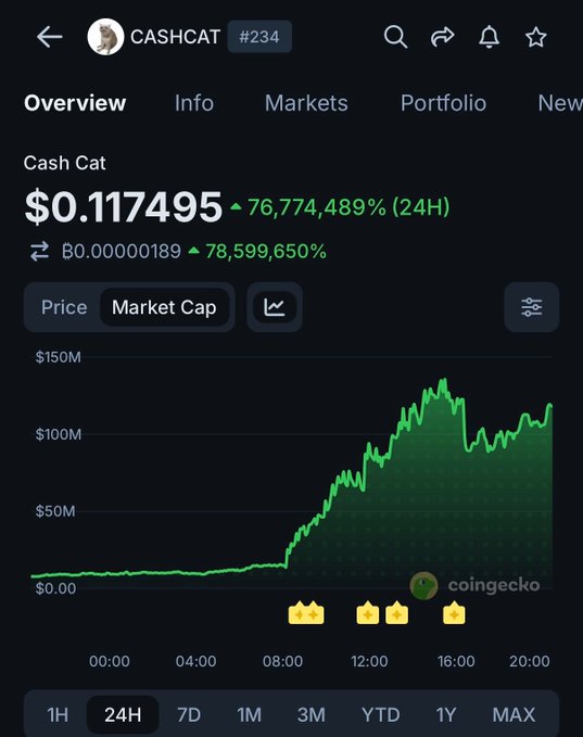 The image shows a CoinGecko overview page for Cash Cat ($CASHCAT), displaying a current price of $0.117495 with a staggering 76,774,489% increase over 24 hours and a market cap climbing to around $150M, consistent with the post's claim that the token surpassed $100M in market cap within a day and is now ranked #234.