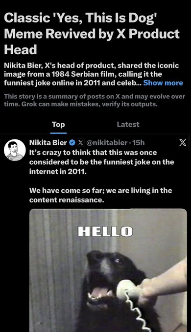 The image shows an X (formerly Twitter) post by Nikita Bier (@nikitabier), X's head of product, featuring the classic "Hello, this is dog" meme with the word "HELLO" displayed above a black dog. The headline notes that Bier revived this iconic 1984 Serbian film meme, calling it the funniest joke online in 2011 and commenting on how internet humor has evolved.

The accompanying post promotes the $calldog token, referencing the original "this is dog" viral meme that the image showcases—a fitting tie-in for a memecoin leveraging the same classic internet humor.