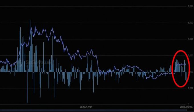 A dark-themed financial chart with candlesticks and a moving average line, where a red circle highlights a specific cluster of recent price action on the right side.