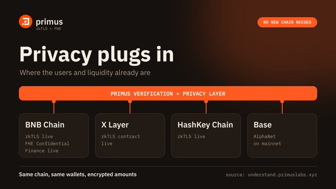 A promotional graphic for 'primus' titled 'Privacy plugs in', showing 'PRIMUS VERIFICATION + PRIVACY LAYER' connecting to BNB Chain, X Layer, HashKey Chain, and Base.