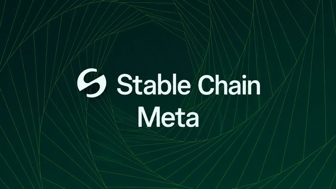 A dark green patterned graphic displays the text "Stable Chain Meta" alongside a stylized "S" logo, serving as a header or branded banner for the accompanying guide about the Stable chain meta, which recommends tools like Rabby wallet, Relay and Stargate bridges, and dyorswap for memecoins.