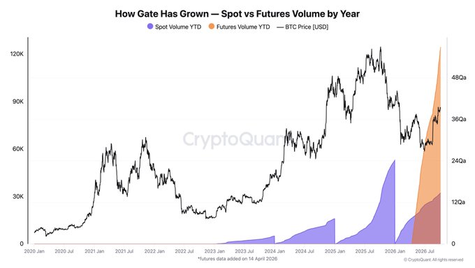 The chart from CryptoQuant titled "How Gate Has Grown — Spot vs Futures Volume by Year" tracks Gate's spot (purple) and futures (orange) trading volumes alongside BTC price (black line) from 2020 through mid-2026, showing futures YTD volume surging to roughly 48-51 quadrillion while BTC fluctuated between $20K and $120K. The visualization directly supports the post's claim about Gate's 468% year-over-year growth in perpetual futures volume, visually emphasizing the dramatic acceleration in futures activity (orange) compared to spot trading (purple) in the most recent period.
