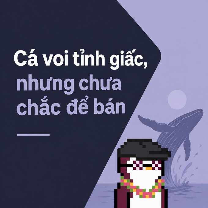 A pixel-art style graphic featuring a Vietnamese quote "Cá voi tinh giảc, nhưng chưa chắc để bán" (The whale awakens, but not necessarily to sell) alongside a whale illustration and a pixel-art penguin character.