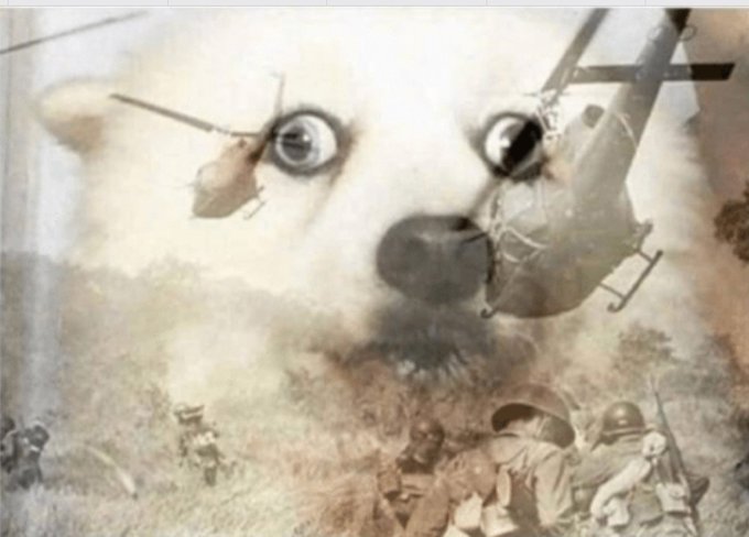 This collage depicts a dog's panicked eyes superimposed over a Vietnam War scene with soldiers and helicopters, reflecting the PTSD mentioned in the post.