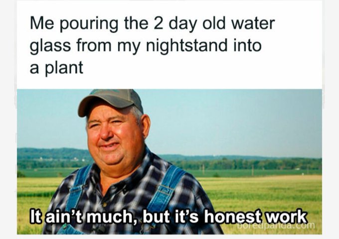 A meme featuring an older man in a plaid shirt and overalls with the text 'Me pouring the 2 day old water glass from my nightstand into a plant' above and 'It ain't much, but it's honest work' below.