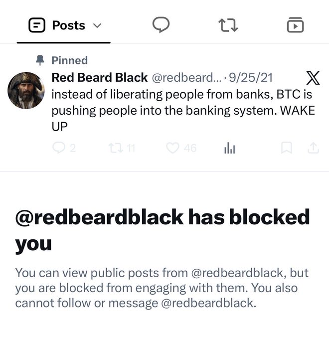 A screenshot of an X (formerly Twitter) profile for 'Red Beard Black @redbeard...' with a pinned post stating 'instead of liberating people from banks, BTC is pushing people into the banking system. WAKE UP,' showing 46 likes and 11 reposts, while a message below indicates '@redbeardblack has blocked you.'